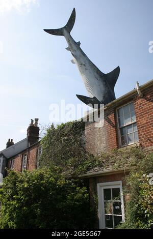 Bill Heine's Shark in una statua sul tetto a Headington, Oxford nel Regno Unito Foto Stock