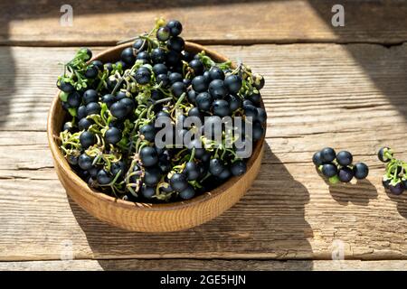 Bacche nere di ombra notturna in un piatto sul primo piano del tavolo. Ombra notturna in cucina. Cibo sano. Raccolto per cottura Foto Stock