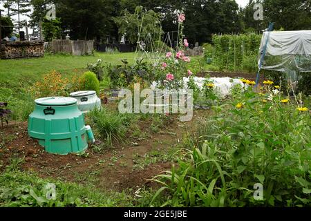 Nagano, Giappone, 2021-12-08 , giardini a Togakushi. Foto Stock