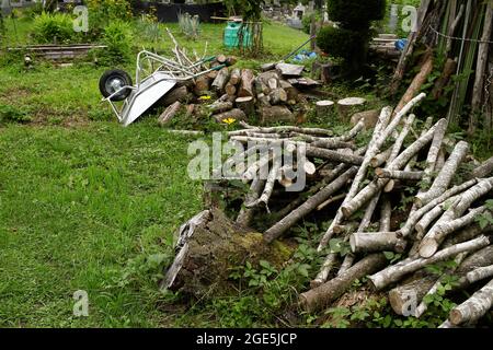 Nagano, Giappone, 2021-12-08 , giardini a Togakushi. Foto Stock