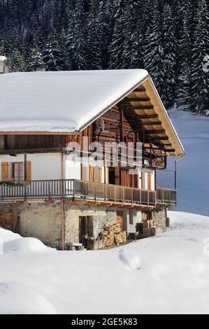 FRANCIA, SAVOIA (73) BEAUFORTAIN, VILLAGGIO E FRAZIONE DI ARECHES-BEAUFORT, FRAZIONE BOUDIN, CHALET Foto Stock