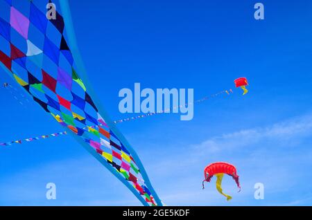 FRANCIA, FESTIVAL DEGLI AQUILONI, AQUILONI SENZA STRUTTURA Foto Stock