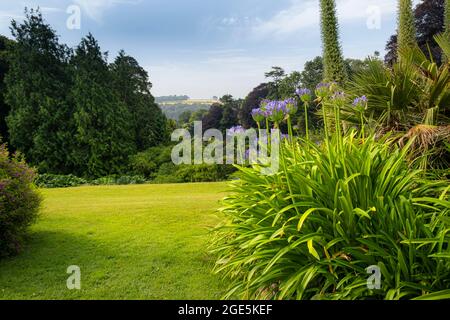 La vista spettacolare nei giardini sub tropicali Trebah in Cornovaglia. Foto Stock