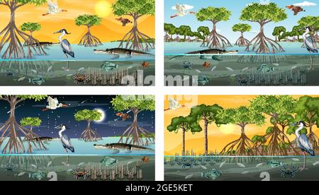 Diverse scene di paesaggio boschivo mangrovie con animali illustrazione Illustrazione Vettoriale