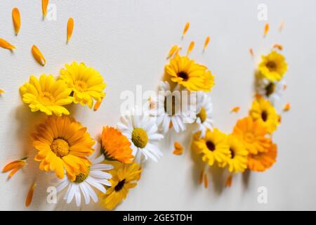 Daisy e calendula fiori su uno sfondo chiaro. Estate fiori luminosi. Foto Stock