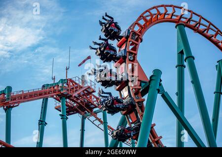 El Condor Vekoma SLC Rollercoaster Walibi Olanda Foto Stock