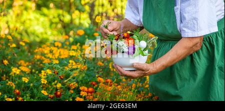 La donna raccoglie erbe medicinali e fiori. Messa a fuoco selettiva. Natura. Foto Stock