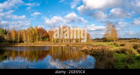 Panorama del lago Meeuwenveen nella riserva naturale Takkenhoogte, Zuidwolde, Drenthe, Paesi Bassi Foto Stock