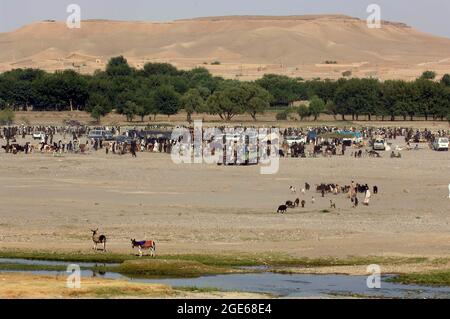 I pastori annaffiare i loro animali nel fiume Musa Qala wadi, Helmand provincia Afghanistan. Foto Stock