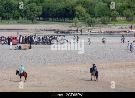 I pastori annaffiare i loro animali nel fiume Musa Qala wadi, Helmand provincia Afghanistan. Foto Stock