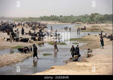 I pastori annaffiare i loro animali nel fiume Musa Qala wadi, Helmand provincia Afghanistan. Foto Stock