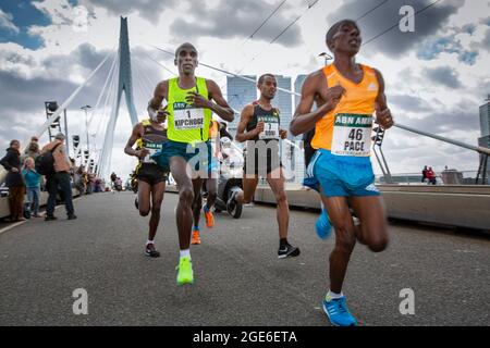 Paesi Bassi, Rotterdam, ABN-AMRO Maratona 2014. Corridori e vincitore Eliud Kipchoge, Kenia, sul ponte Erasmus. Foto Stock