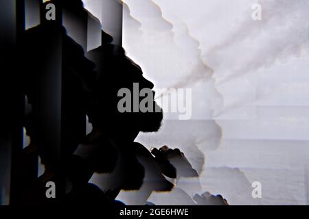 Silhouette di uomo di vaper con nuvola di vapore. EVALI è l'acronimo di e-sigaretta o vaping lesioni polmonari associate all'uso, sintomi respiratori, inclusa tosse, Foto Stock