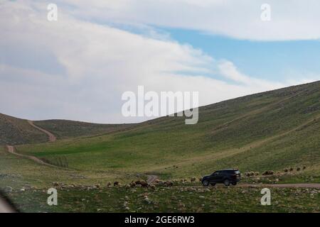 Central Jordan Valley. La Jordan Rift Valley, anche Jordan Valley chiamata anche depressione Syro-Africana, è una depressione allungata che si trova in modera Foto Stock