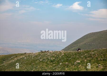 Central Jordan Valley. La Jordan Rift Valley, anche Jordan Valley chiamata anche depressione Syro-Africana, è una depressione allungata che si trova in modera Foto Stock