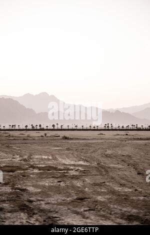 Città vecchia con palme nel deserto. Egitto paesaggio Silhouettes di palme tropicali Montagne e case al tramonto deserto sabbioso paesaggio rurale Foto Stock