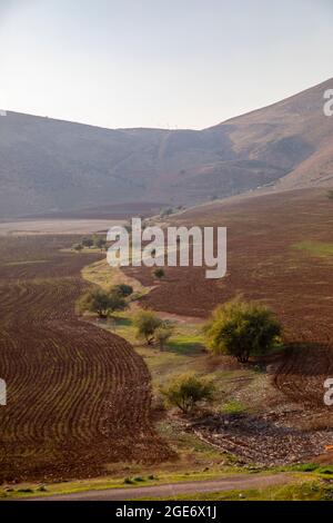 Central Jordan Valley. La Jordan Rift Valley, anche Jordan Valley chiamata anche depressione Syro-Africana, è una depressione allungata che si trova in modera Foto Stock