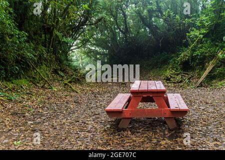 Tavolo da picnic in una foresta di nubi di Reserva Biologica Bosque Nuboso Monteverde, Costa Rica Foto Stock