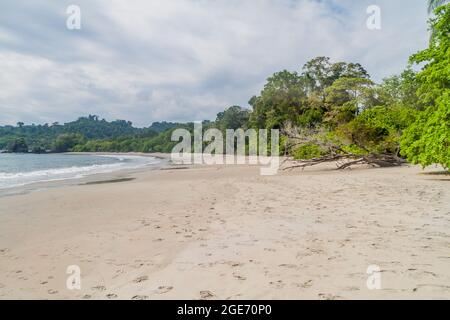 Spiaggia nel Parco Nazionale Manuel Antonio, Costa Rica Foto Stock