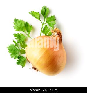 Set di spezie, prezzemolo e cipolla gialla isolati su sfondo bianco, vista dall'alto Foto Stock