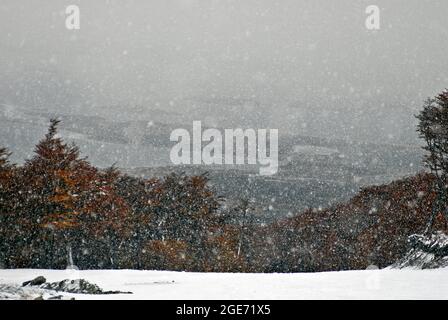 Tempesta di neve al ghiacciaio Martial. Ushuaia, Terra del fuoco, Argentina Foto Stock