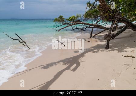 Spiaggia dell'isola di Isla Zapatilla, parte dell'arcipelago di Bocas del Toro, Panama Foto Stock