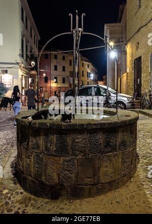 Un gatto che dorme su un pozzo nel centro storico di Alghero di notte Foto Stock