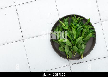 Fresco verde ciuffi di menta su un piatto primo piano, vista dall'alto, spazio di copia Foto Stock