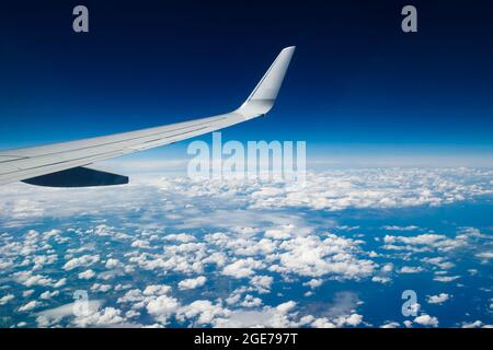 Ala semplice su cielo blu. Volo da Helsinki ad Amsterdam. Foto Stock