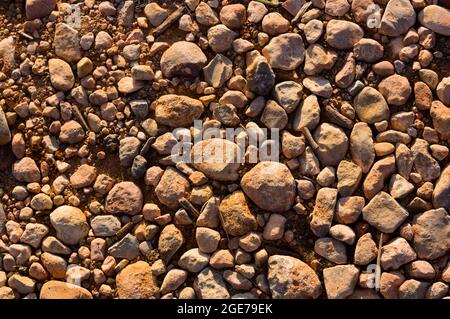 Primo piano di una strada rurale formata da abbondanti pietre piccole su terra compattata e illuminata dal sole che rende l'immagine più texture Foto Stock