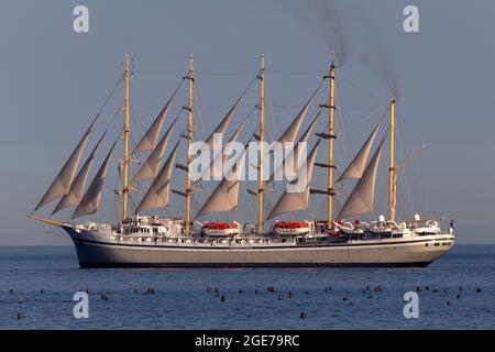 La nave da crociera Golden Horizon salpa a Torbay, Devon, Regno Unito. La maestosa imbarcazione è la più grande imbarcazione a vela quadrata del mondo. Foto Stock