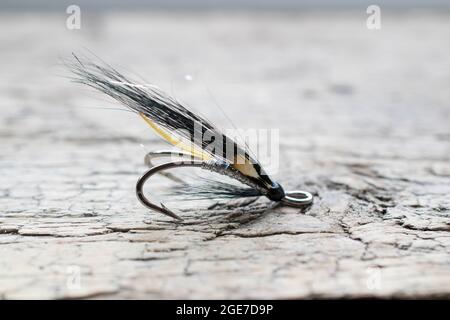 Pesca di salmone lucido volare con flash giallo su una superficie di legno Foto Stock