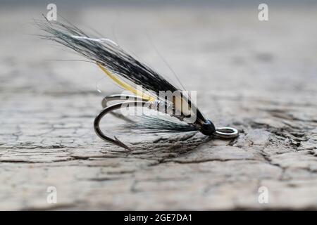 Pesca di salmone lucido volare con flash giallo su una superficie di legno Foto Stock
