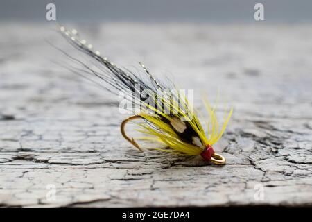 Pesca di salmone lucido volare con flash giallo su una superficie di legno Foto Stock