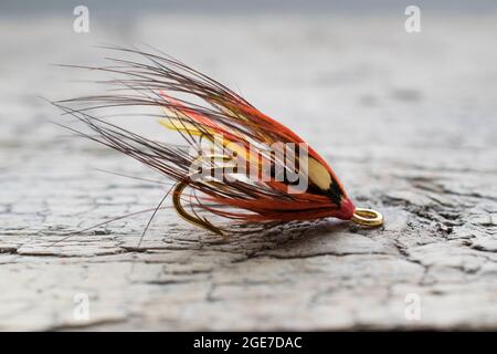 Pesca di salmone lucido volare con flash giallo su una superficie di legno Foto Stock