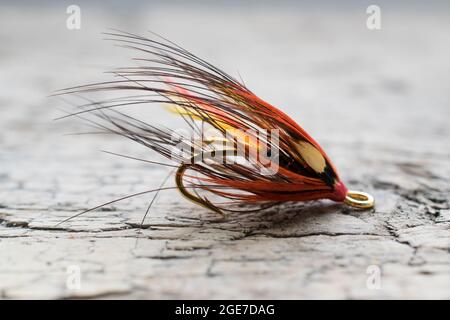 Pesca di salmone lucido volare con flash giallo su una superficie di legno Foto Stock