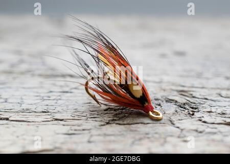 Pesca di salmone lucido volare con flash giallo su una superficie di legno Foto Stock