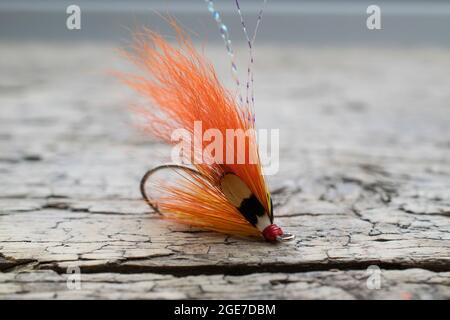 Pesca di salmone lucido volare con flash giallo su una superficie di legno Foto Stock