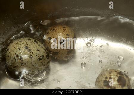 piccole uova di quaglia macchiate in acqua bollente Foto Stock