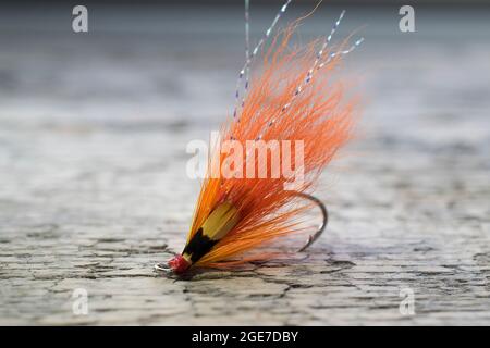 Pesca di salmone lucido volare con flash giallo su una superficie di legno Foto Stock