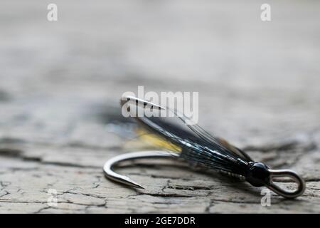 Pesca di salmone lucido volare con flash giallo su una superficie di legno Foto Stock