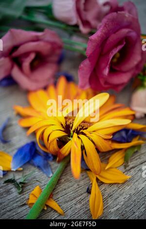 Primo piano di fiori appassiti su un tavolo di legno Foto Stock