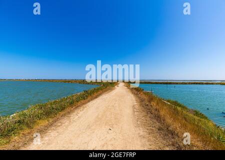 Italia Emilia Romagna - Valli di Comacchio - dintorni di Foce Foto Stock