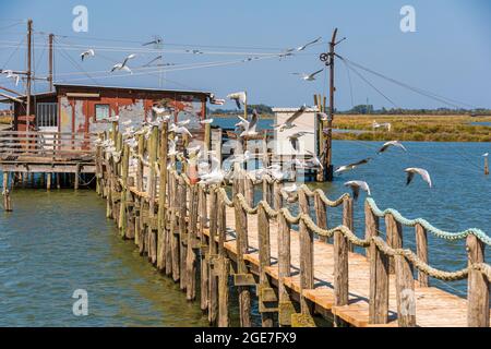 Italia Emilia Romagna - Valli di Comacchio - dintorni di Foce Foto Stock