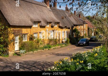 Regno Unito, Inghilterra, Oxfordshire, Wroxton, Main Street, Graziosi cottage di Cotswold dal tetto di paglia in primavera Foto Stock