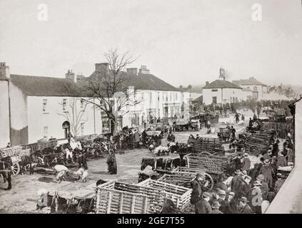 Una vista del tardo 19 ° secolo di una Fiera del maiale, parte di un mercato agricolo di Abbeyleix, una città nella contea di Laois (alias a quel tempo come Queen's County, Irlanda. Abbeyleix moderno è una delle più antiche città di proprietà progettate in Irlanda. Fu costruita in gran parte nel XVIII secolo dal Visconte de Vesci, ma la regolare inondazione del fiume Nore rese la città un luogo malsano per vivere. Intorno al 1790, John Vesey determinò che la posizione della città non era adatta ai suoi inquilini, ne progettò una nuova e quando la città vecchia fu livellata, i residenti si trasferirono nella nuova. Foto Stock