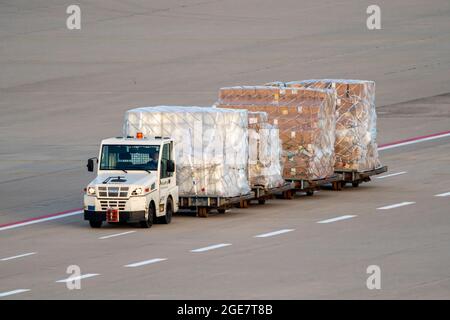 Aeroporto di Colonia-Bonn, CGN, trasporto aereo, in aereo, presso il terminal delle merci FedEx, NRW, Germania Foto Stock