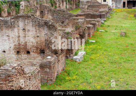Rovine del Ludus Magnus a Roma in una giornata estiva. La Ludus Magnus (conosciuta anche come la Grande Scuola di formazione gladiatoriale) era la più grande dei felici Foto Stock