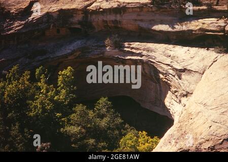 Butler Wash Cliffs, Utah Foto Stock