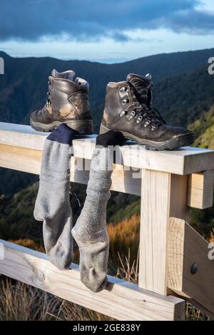 Scarpe da trekking e calzini che si asciugano sulla recinzione, Paparoa Track, (una delle grandi passeggiate della Nuova Zelanda) Parco Nazionale di Paparoa, West Coast, South Island, Nuova Zelanda Foto Stock